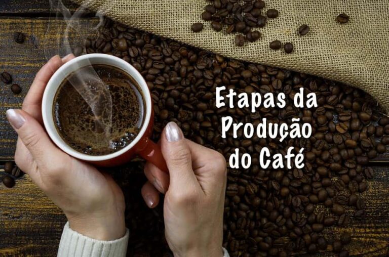 Etapas Da Produção Do Café